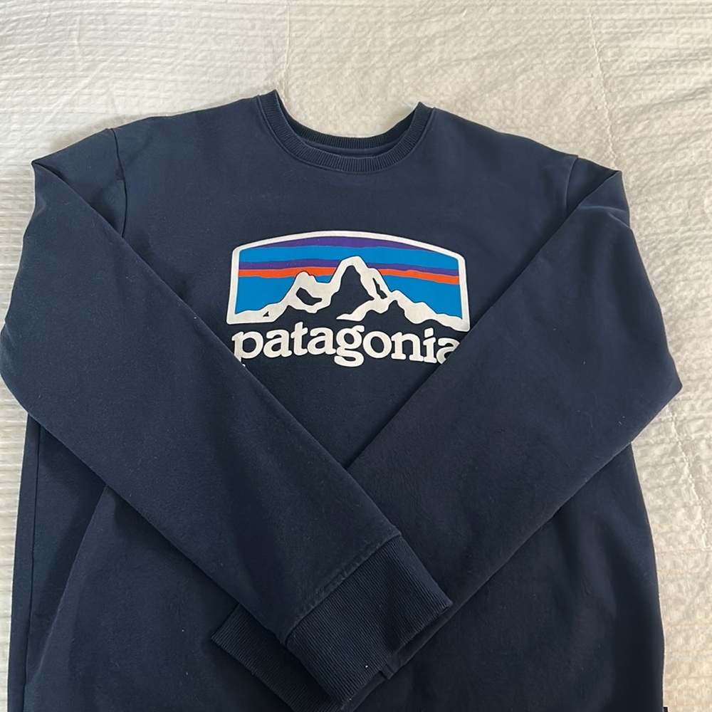 Patagonia Crewneck